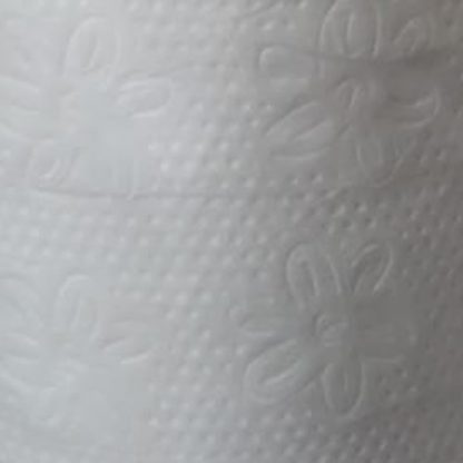 Papel higiénico doble hoja 48 rollos de 27 metros - Imagen 3